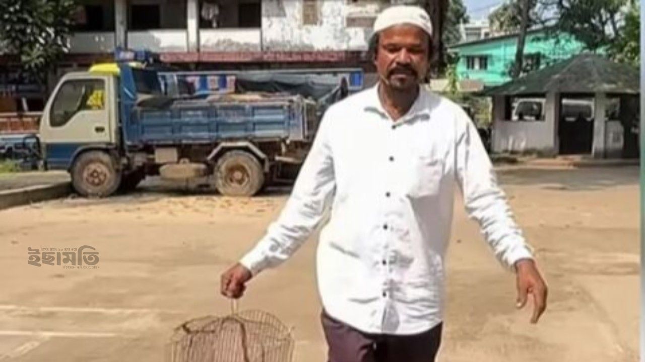 কুকুর তাড়ানোকে কেন্দ্র করে বিরোধ: প্রতিবেশীর লাঠির আঘাতে বিড়াল হত্যা, অভিযোগ চকরিয়ায়